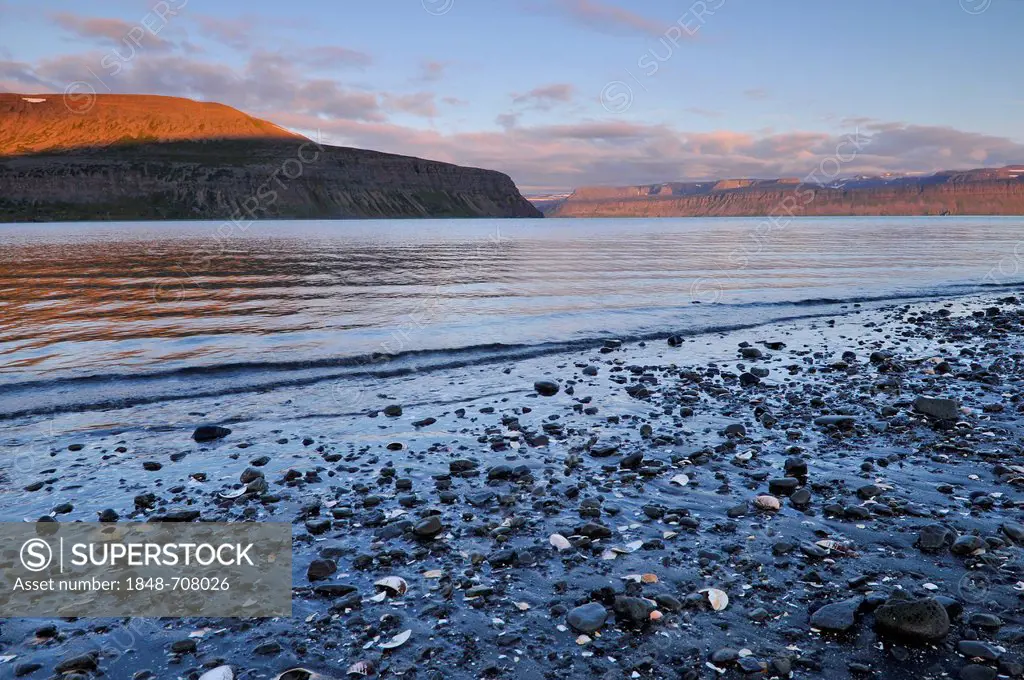 Beach with sea shells, mid-summer night, Hesteyri, Hesteyrarfjoerður or Joekulfirðir, Hornstrandir hiking paradise, Westfjords, Iceland, Europe