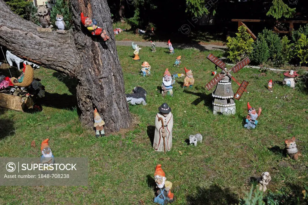 Garden gnomes and other figures in a German allotment, Germany, Europe