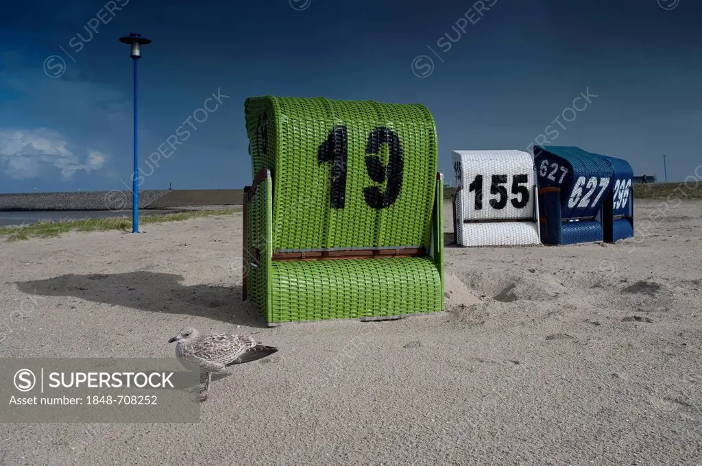 Beach chairs on Neuharlingersiel North Sea beach, East Frisia, Lower Saxony, Germany, Europe