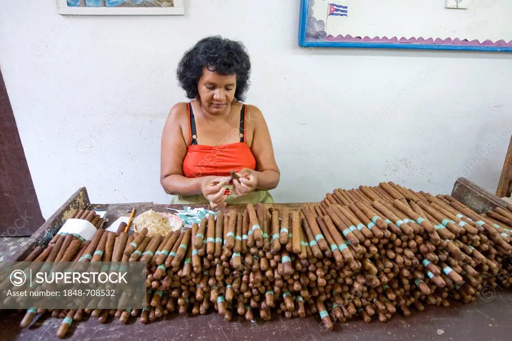 One of more than 100 workers in the Fabrica de Tabaco Carlos Rodriguez Cariaga cigar factory, putting labels on cigars, Ciego de Avila, Cuba, Central ...