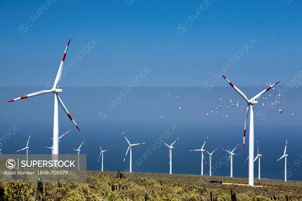 Endesa wind power station, created in December 2009, 18 megawatt system in the no man's land between the Pan-American Highway and the Pacific Ocean, L...