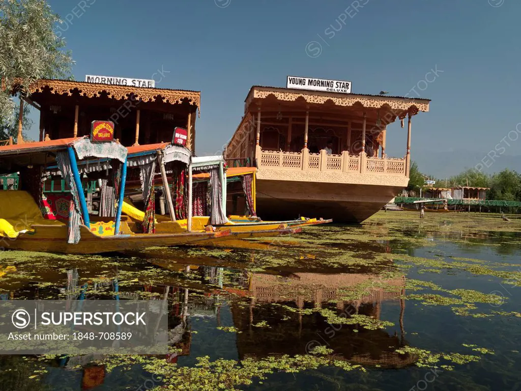 Houseboats on Dal Lake, popular to accomodate tourists, in Srinagar, Jammu and Kashmir, India, Asia