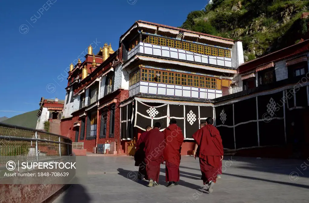 Tibetan monks wearing red monk's robe upon entering the meeting hall of the Drigung monastery, Drigung Til, Himalayas, Lhundrup County, central Tibet,...