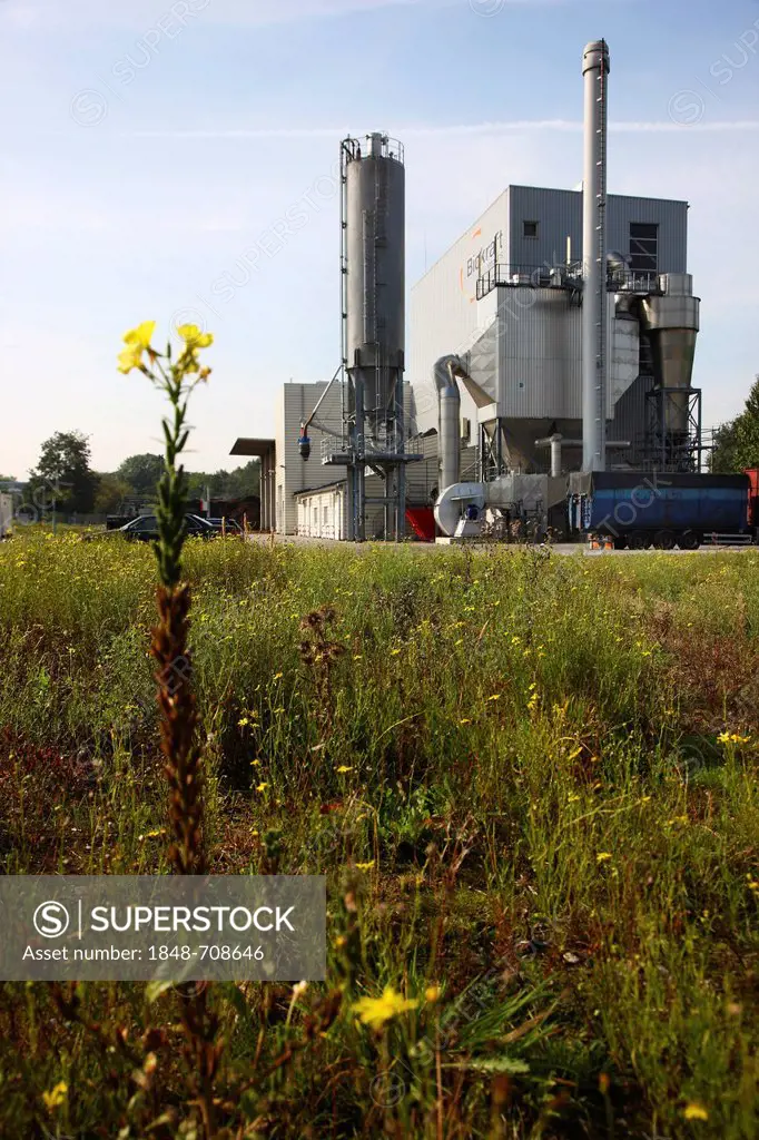 Biomass cogeneration plant, a combined heat and power plant, operated by Biokraftgesellschaft Moers Dinslaken, Moers, Dinslaken, North Rhine-Westphali...