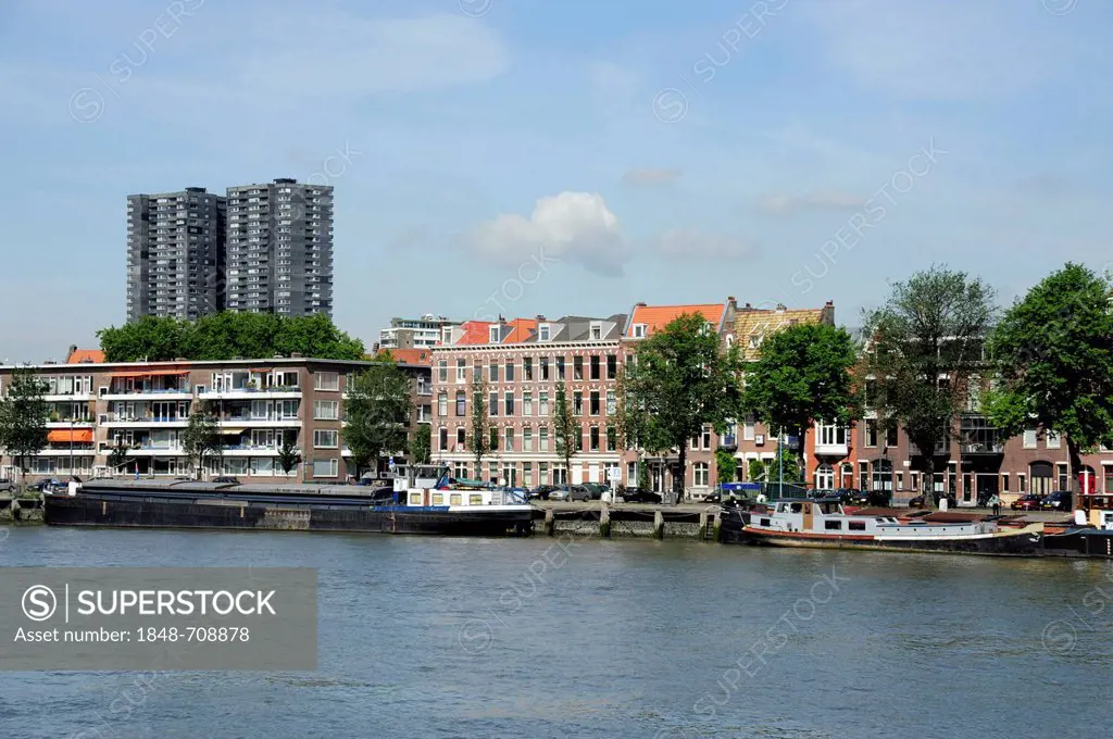 Noorderijland Island, Nieuwe Maas River, Rotterdam, Holland, Nederland, Netherlands, Europe
