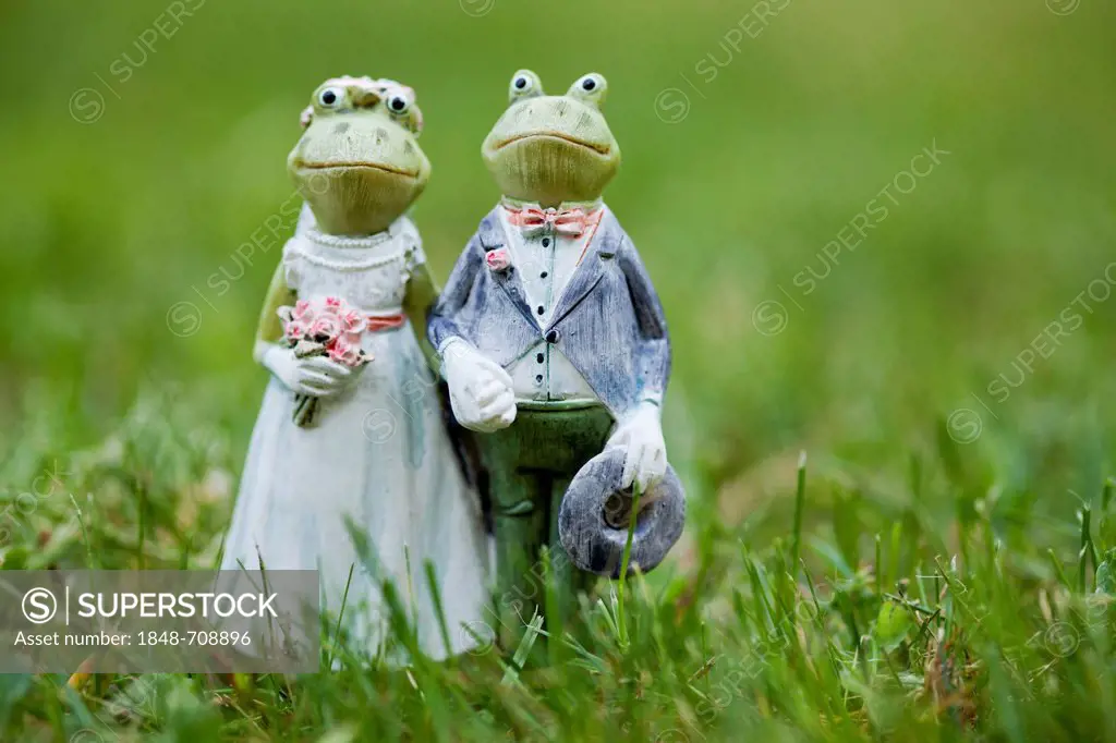 Frog figurines as wedding couple, in grass