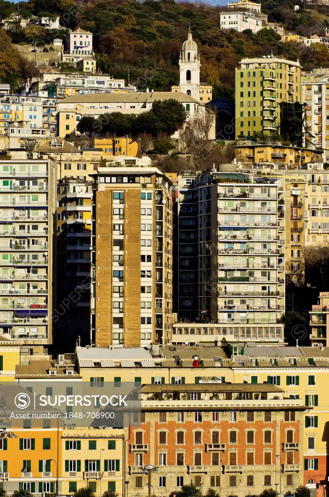 Houses at the port of Genoa, Liguria, Italy, Europe