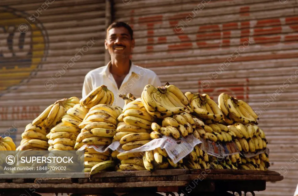 Street vendor selling bananas, New Delhi, India, Asia