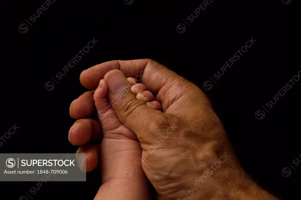 Father's hand holding baby's hand