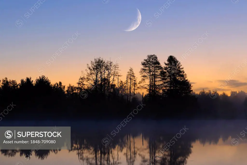 Moon above the Schwenninger Moos nature reserve, composite photograph, source of the Neckar River, Villingen-Schwenningen, Black Forest, Baden-Wuertte...