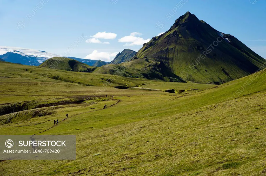 Hikers walking on the trail, mountains covered with moss on the Laugavegur hiking trail, Álftavatn-Emstrur, Highlands of Iceland, Iceland, Europe