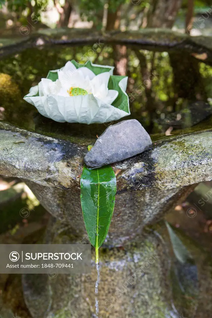 Fountain with lotus flower and leaf in a monastery garden, Kyoto, Japan, Asia