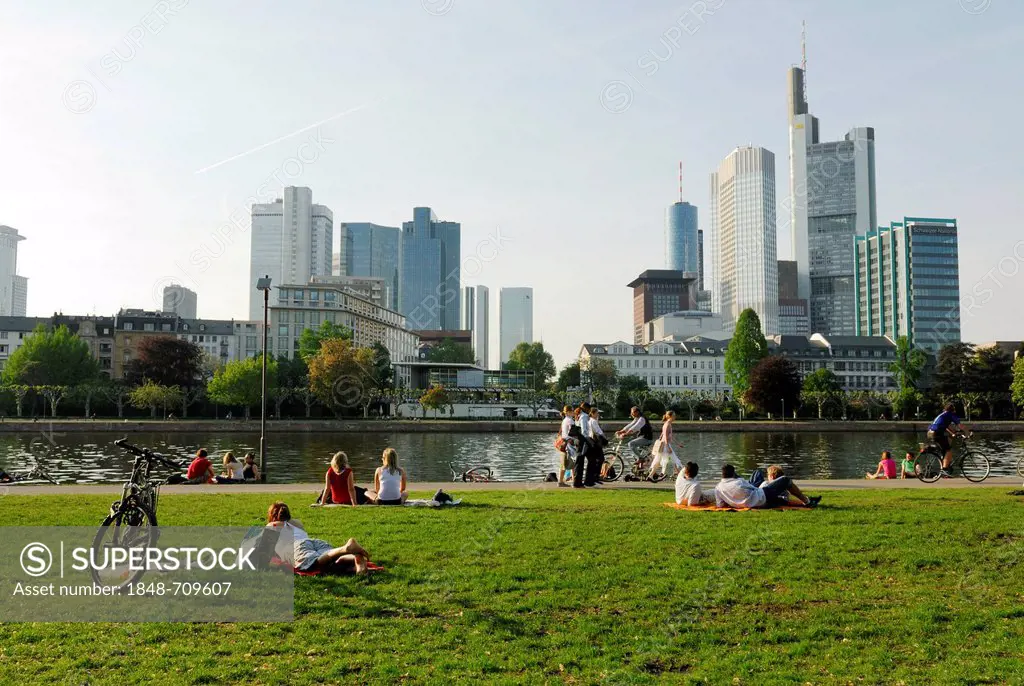 Lawn on the Main river, skyline of the financial district, Frankfurt am Main, Hesse, Germany, Europe, PublicGround