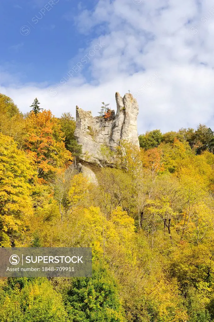 Autumnal beech forest in the Danube Valley with the remains of Burg Neugutenstein castle, also called Gebrochen Gutenstein, near Inzigkofen, Sigmaring...
