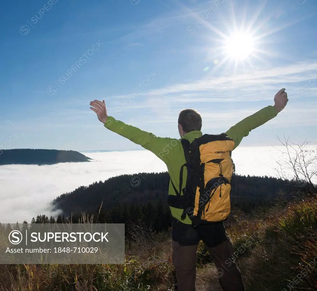 Hiker with outstretched arms looking at a fog shrouded valley, Black Forest, Baden-Wuerttemberg, Germany, Europe