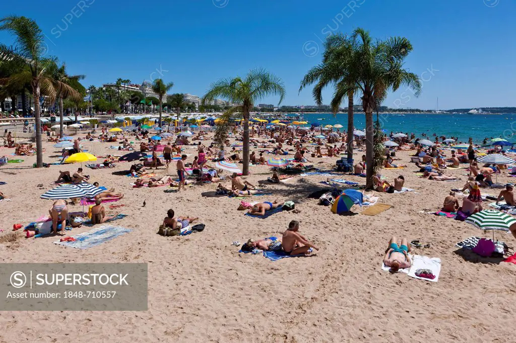 People on the beach of Cannes, at the Croisette, Côte d'Azur, Southern France, Europe, PublicGround