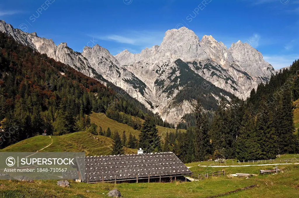 Bindalm, mountain pasture with hut built 1886, Muehlsturzhoerner mountains at back, Hintersee near Ramsau, Upper Bavaria, Bavaria, Germany, Europe
