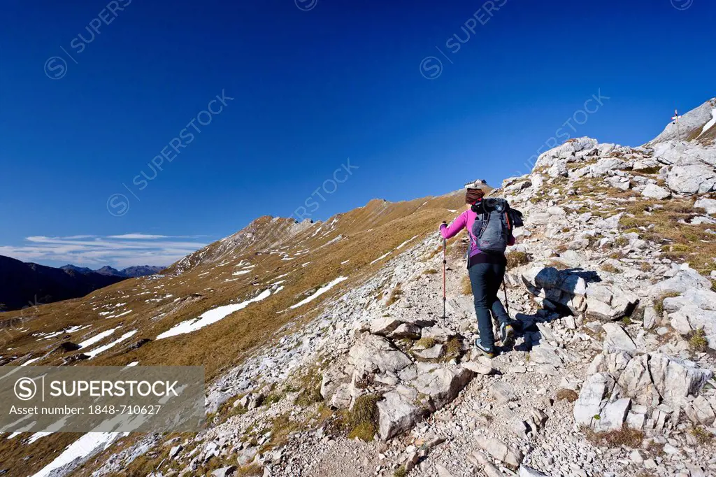 Hiker during the ascent to Bepi Zac climbing route in the San Pellegrino Valley above the San Pellegrino Pass, Dolomites, Trentino, Italy, Europe