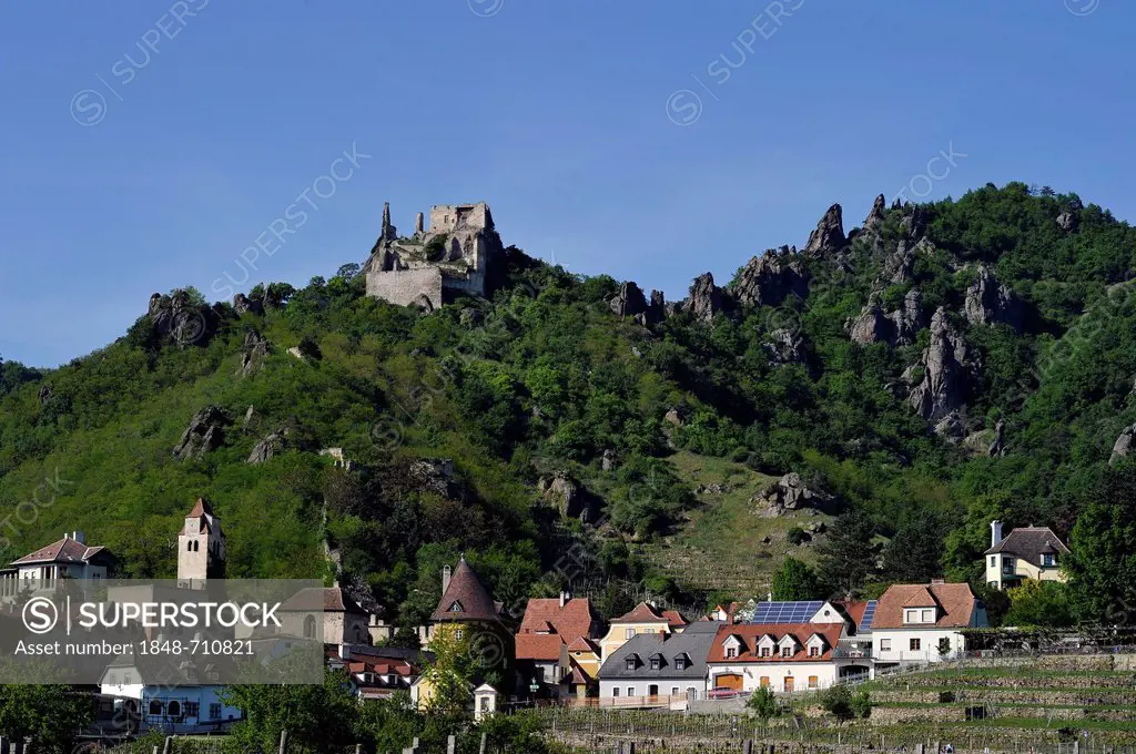 Burgruine Duernstein castle ruins, Duernstein, UNESCO World Heritage Site World Heritage Site Wachau, Lower Austria, Austria, Europe, PublicGround