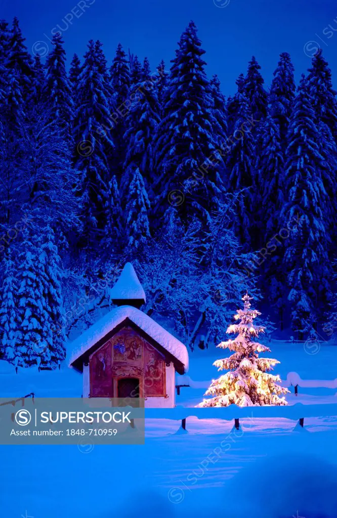 Kapelle Elmau chapel, christmas tree, dusk, Bavaria, Germany, Europe