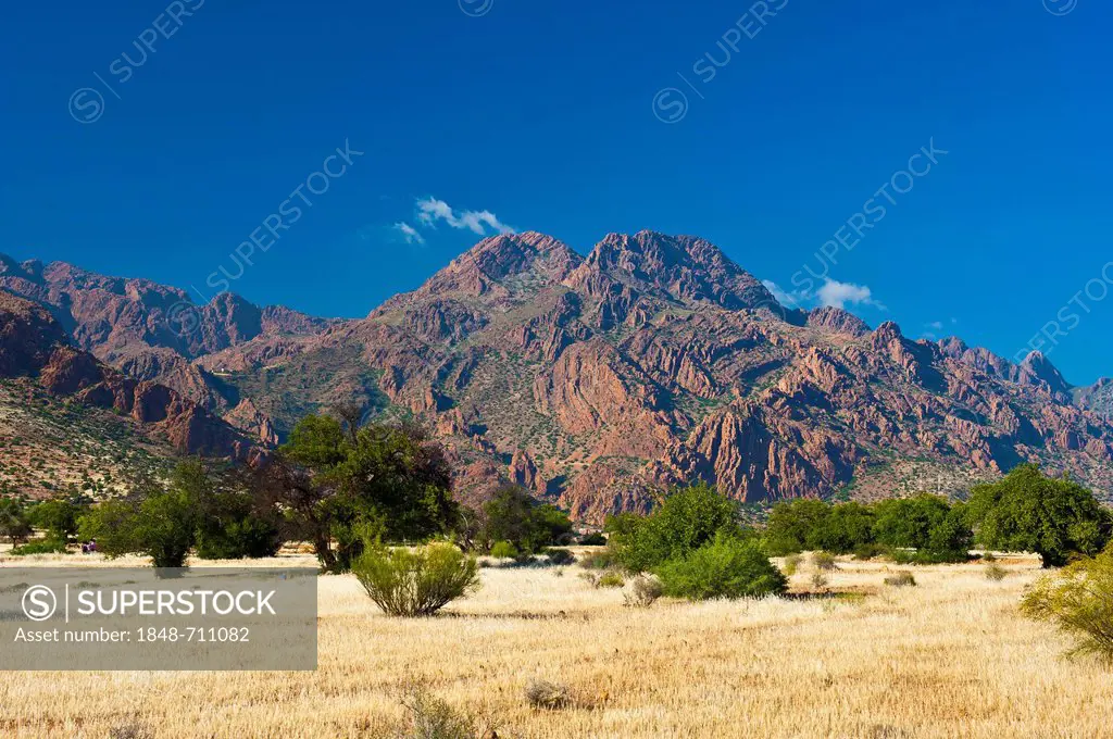 Typical mountain landscape with Argan (Argania spinosa) trees and a corn field in the Anti-Atlas mountains, southern Morocco, Morocco, Africa
