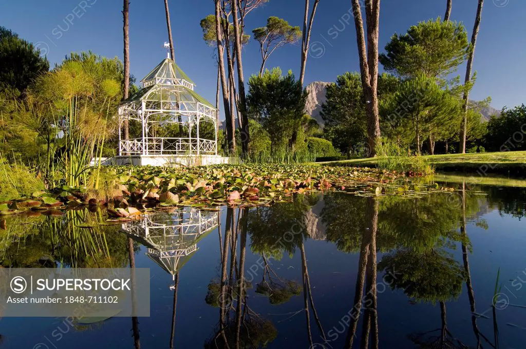 Pond, Boschendal wine estate, between Stellenbosch and Franschhoek, Western Cape, South Africa, Africa