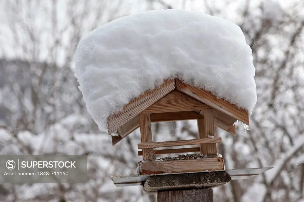 Snow-covered birdhouse, Ennstal valley, Styria, Austria, Europe