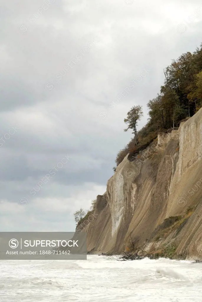 Cliffs near Sassnitz, Ruegen, Mecklenburg-Western Pomerania, Germany, Europe