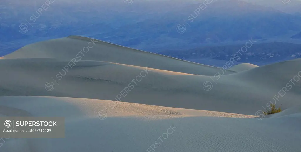 Mesquite Flat Sand Dunes, early morning light, Stovepipe Wells, looking towards Cottonwood Mountains, Death Valley National Park, Mojave Desert, Calif...