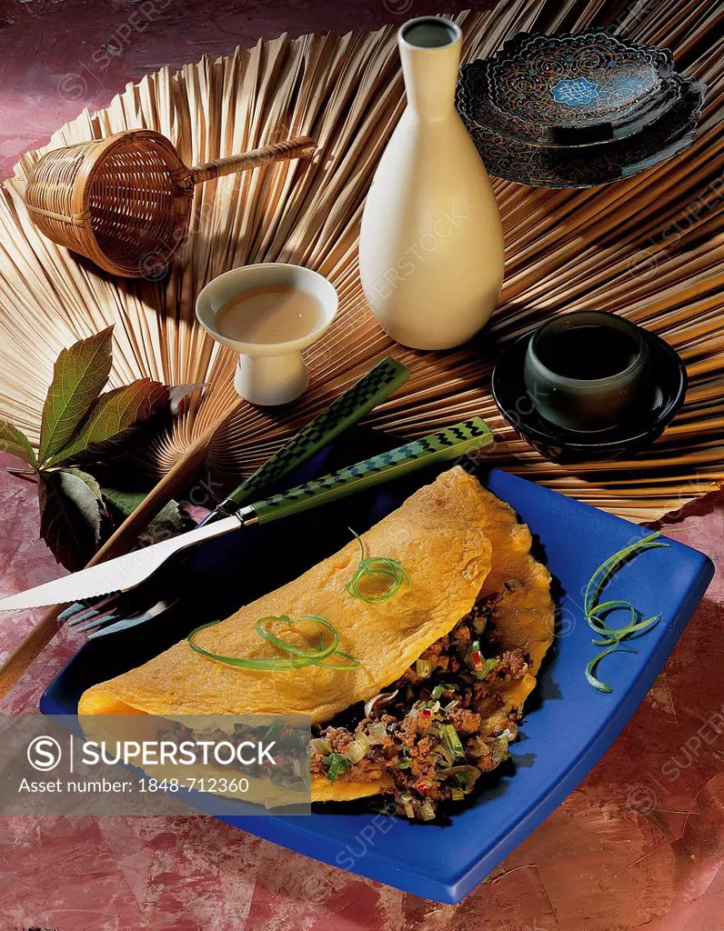 Asian minced meat omelette with minced pork, Mu-Err mushrooms and spring onions, Vietnam