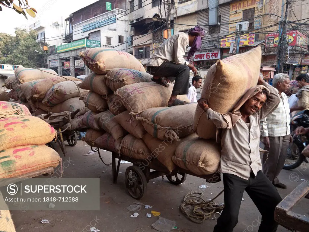 Spices and crops are transported with traditional karts to the spice wholesale market in Old Delhi, India, Asia