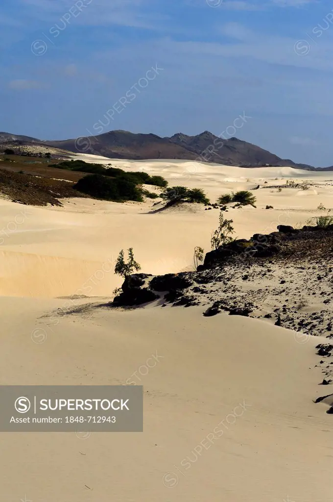 Deserto Viana desert, Boa Vista, Cape Verde, Africa