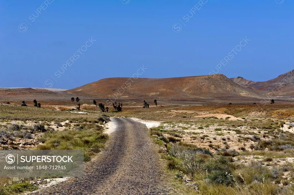 Road in the valley of the Rio Norte, Boa Vista, Cape Verde, Africa