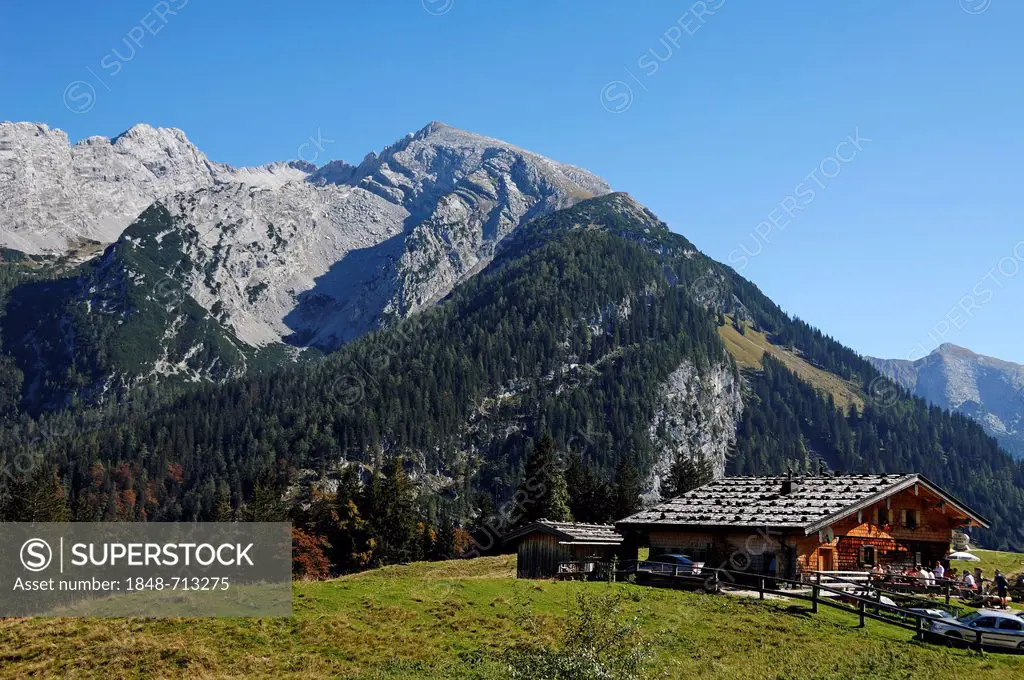 Litzlalm, alp, with restaurant, 1300m, Mt Reiteralpe at back, Zell am See, Austria, Europe