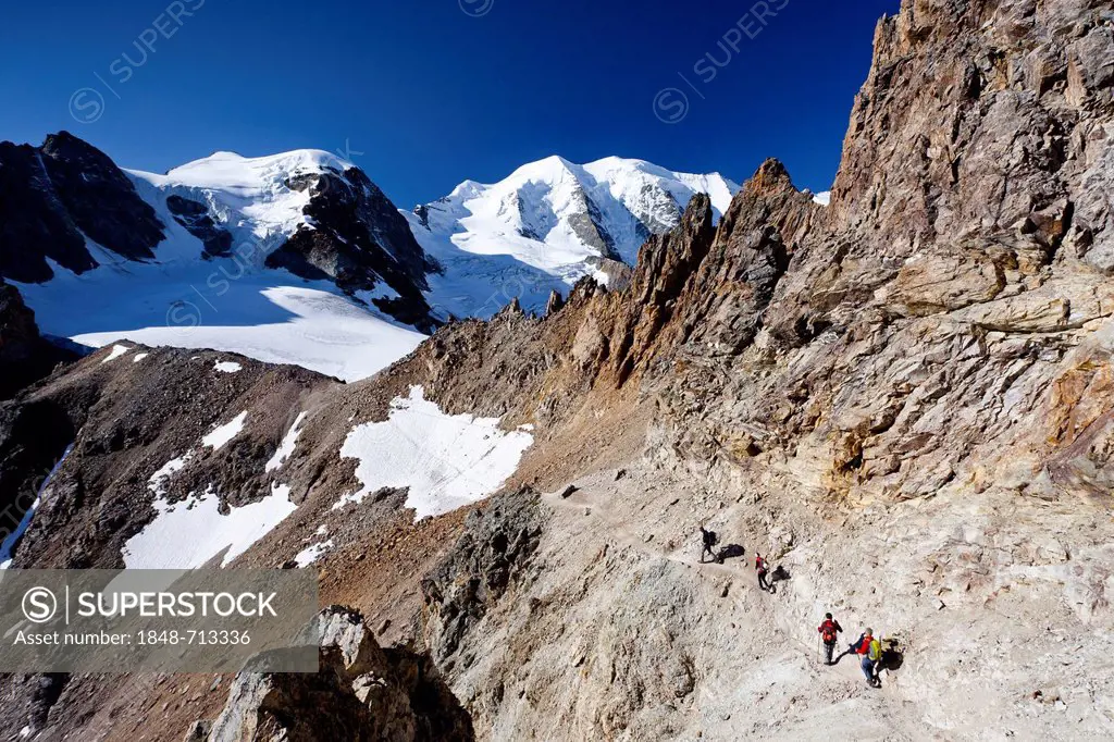 Climbers during the ascent to Piz Palue Mountain, with Piz Palue Mountain at the rear and Piz Cambrena Mountain on the right, Grisons, Switzerland, Eu...