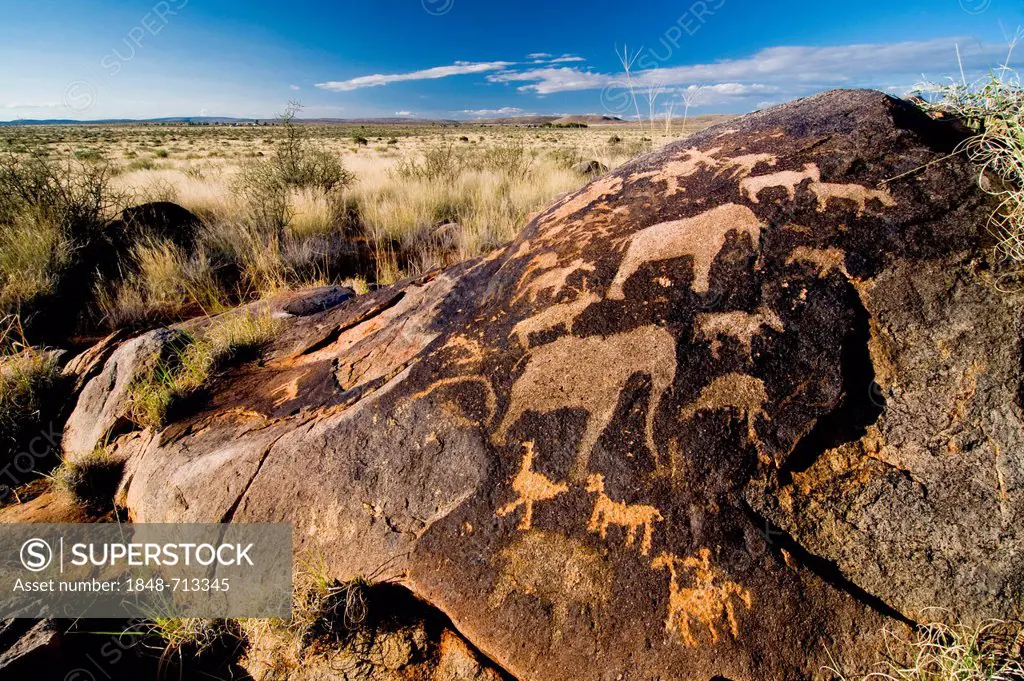 Petroglyphs of the San, bushmen, near Kenhardt, Northern Cape, South Africa, Africa