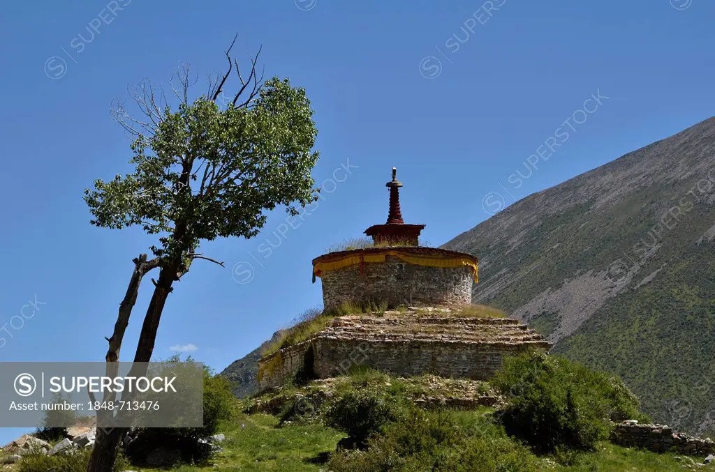Centuries-old juniper trees and stupa, chorten in the mountains of Reting Monastery, Mount Gangi Rarwa, Himalayas, Lhundrup County, central Tibet, Tib...