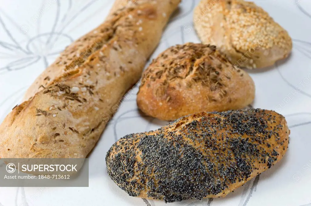 Home-baked bread roll, sesame roll, poppy seed roll, roll with caraway and a Swabian soul, Swabian bread stick