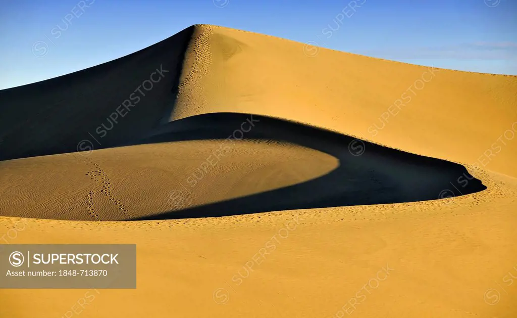 Star Dune, the highest dune of the Mesquite Flat Sand Dunes, known from Star Wars, early morning light, Stovepipe Wells, Death Valley National Park, M...