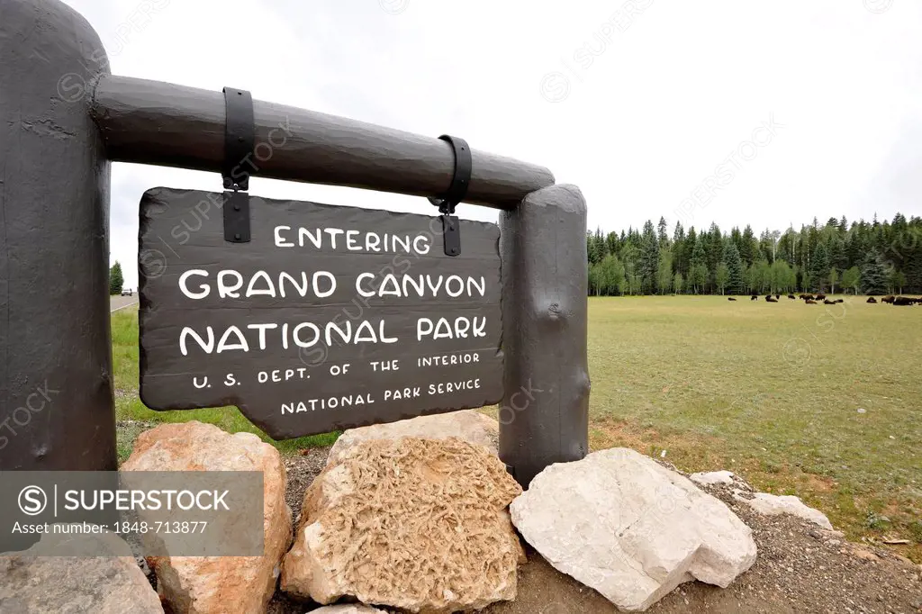 Entrance sign to Grand Canyon National Park, North Rim, Beefalos or Cattalos on the paddock at the rear, a crossbreed between North American Bison (Bi...