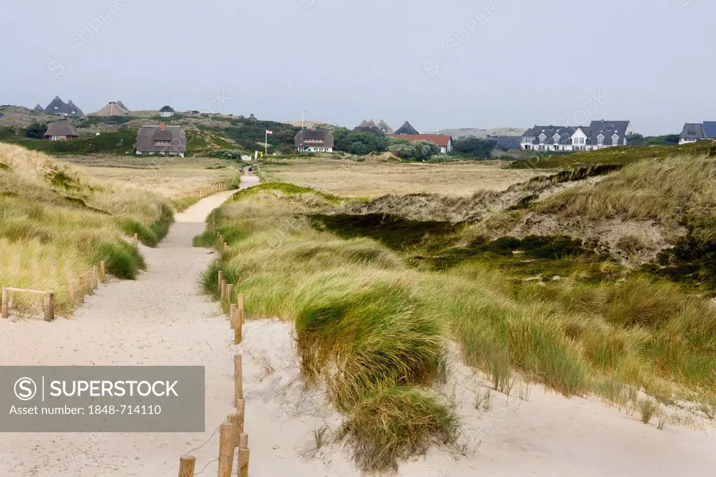 Thatched cottages among the sand dunes of Hoernum, Sylt, North Frisia, Schleswig-Holstein, Germany, Europe