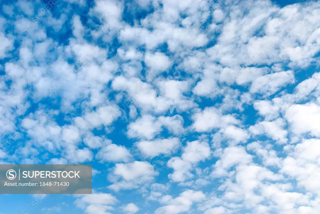 Mackerel Clouds Altocumulus