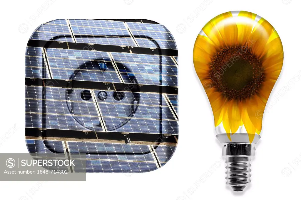 Illustration, socket and a light bulb, symbolic image for solar power