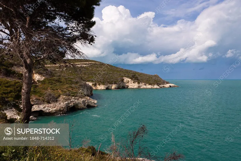 Coast near Vieste, Foggia Province, Apulia, Puglia, Gargano, Adriatic Sea, Italy, Europe
