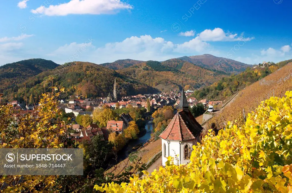 Chapel of St. Urban in the autumnal vineyards of Thann, Alsace, France, Europe