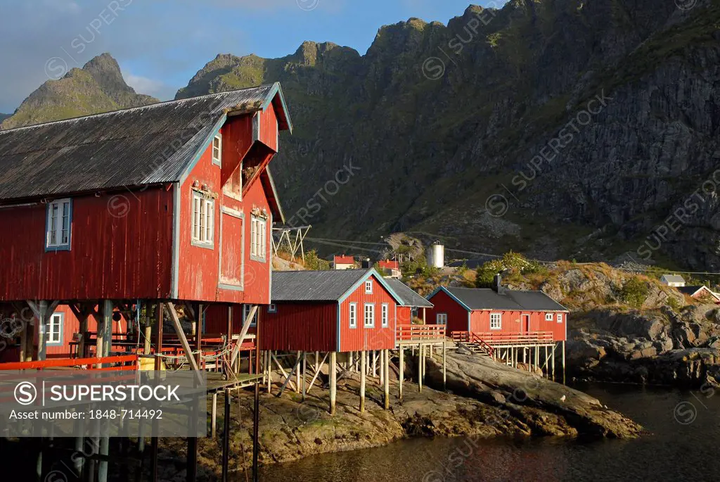 Typical red rorbuer huts, rorbu, at the coast of the Norwegian Sea, mountains at back, Å, Moskenes, Sørvågen, island of Moskenesøy, Moskenesoy, Lofote...
