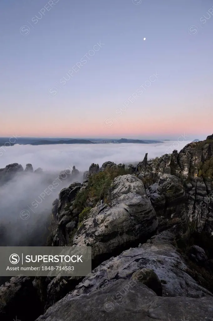 Fog in the Elbe Sandstone Mountains, Saxon Switzerland, Saxony, Germany, Europe