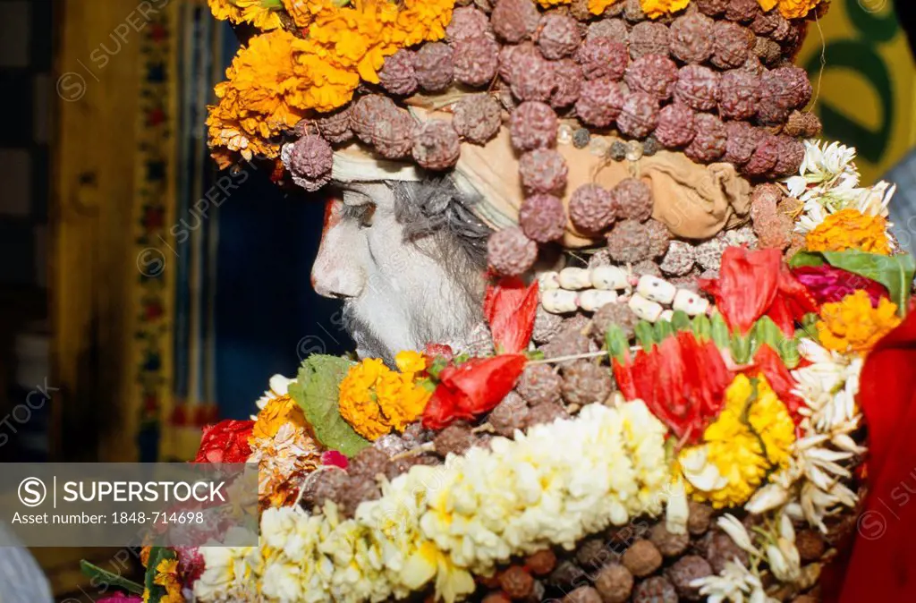 Sadhu with decoration, participant in the archaic Shivratri procession, Varanasi, Uttar Pradesh, India, Asia