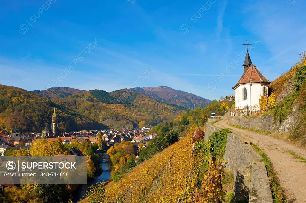 Chapel of St. Urban in the autumnal vineyards of Thann, Alsace, France, Europe