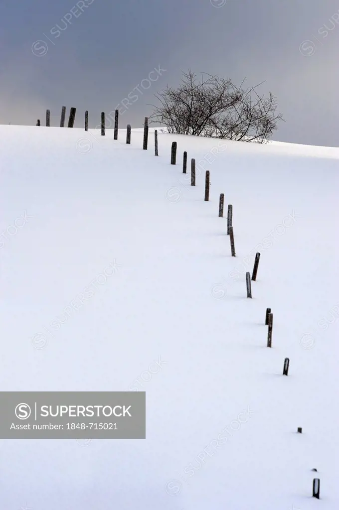 Fence in the snow, Unterjoch, Allgaeu, Bavaria, Germany, Europe